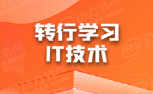 先學Java還是C語言？我們深入探討探討